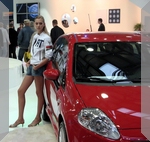 Cars and Girls